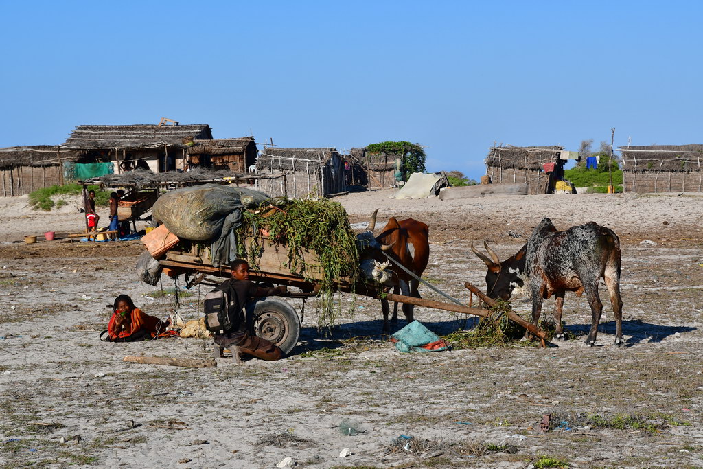 Piste to Toliara